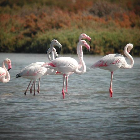 Alojamiento Rural Coto De La Isleta El Puerto de Santa María Exteriör bild