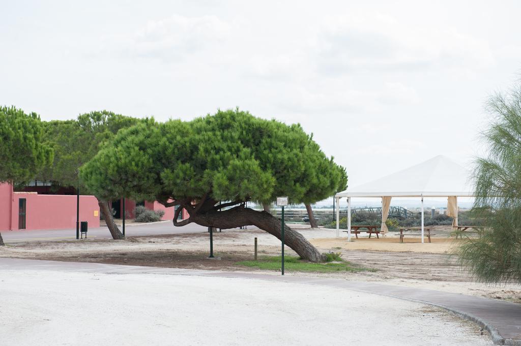 Alojamiento Rural Coto De La Isleta El Puerto de Santa María Exteriör bild