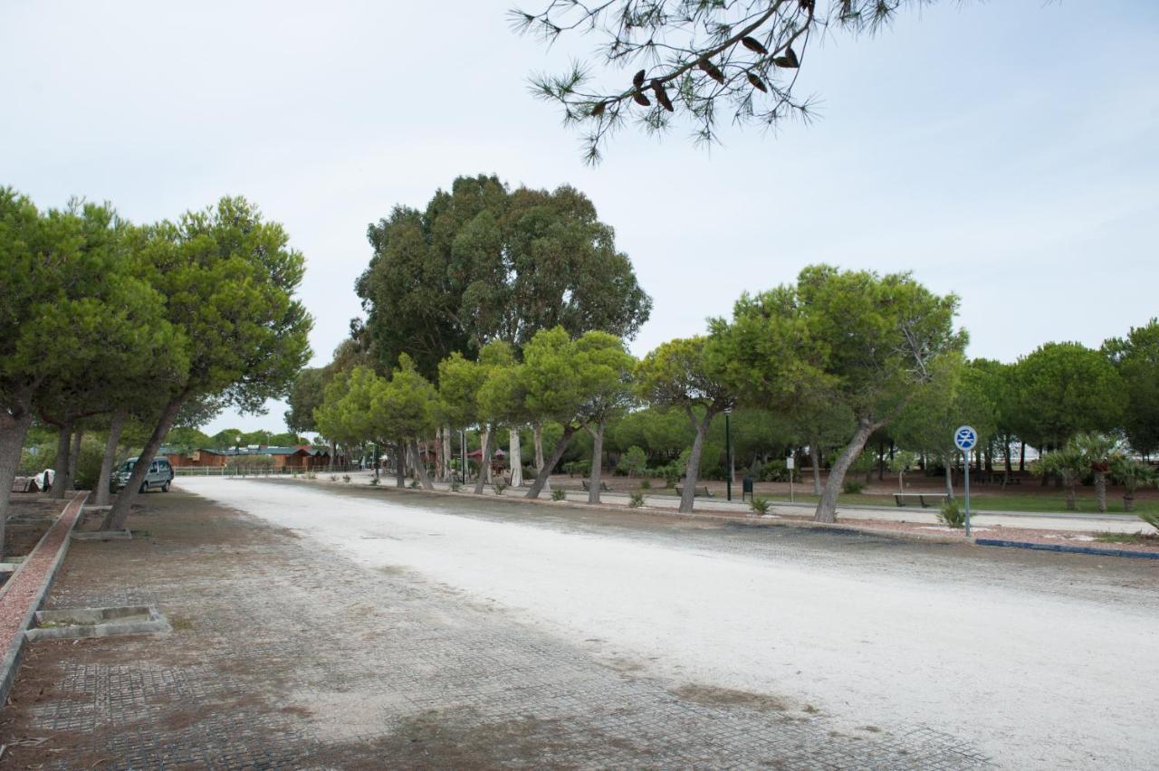 Alojamiento Rural Coto De La Isleta El Puerto de Santa María Exteriör bild