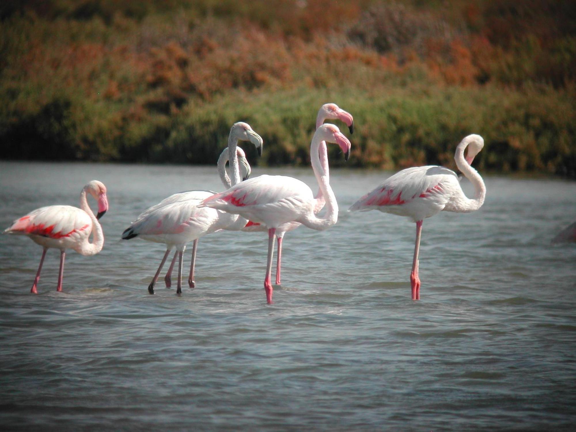 Alojamiento Rural Coto De La Isleta El Puerto de Santa María Exteriör bild